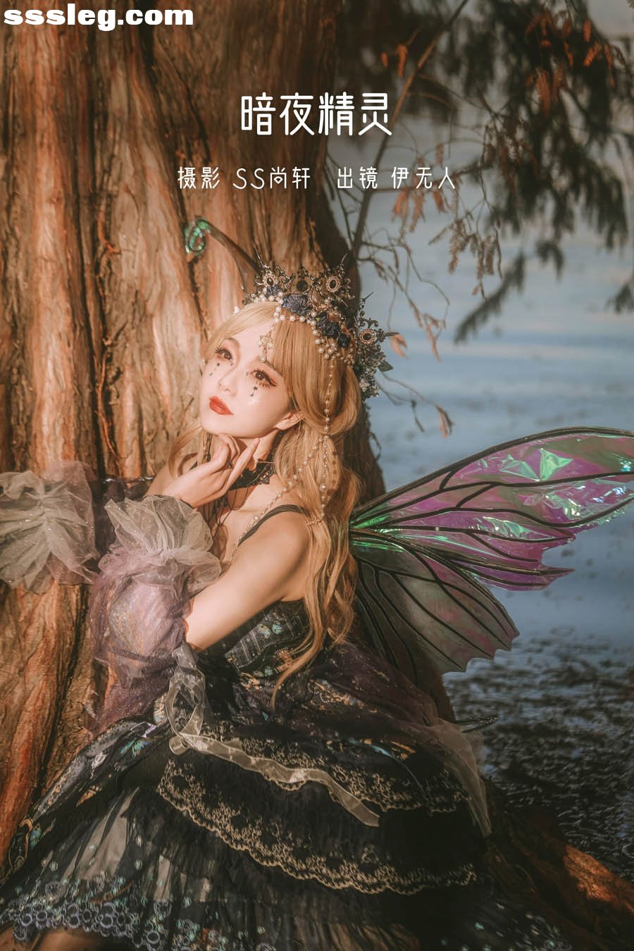 cover.jpg