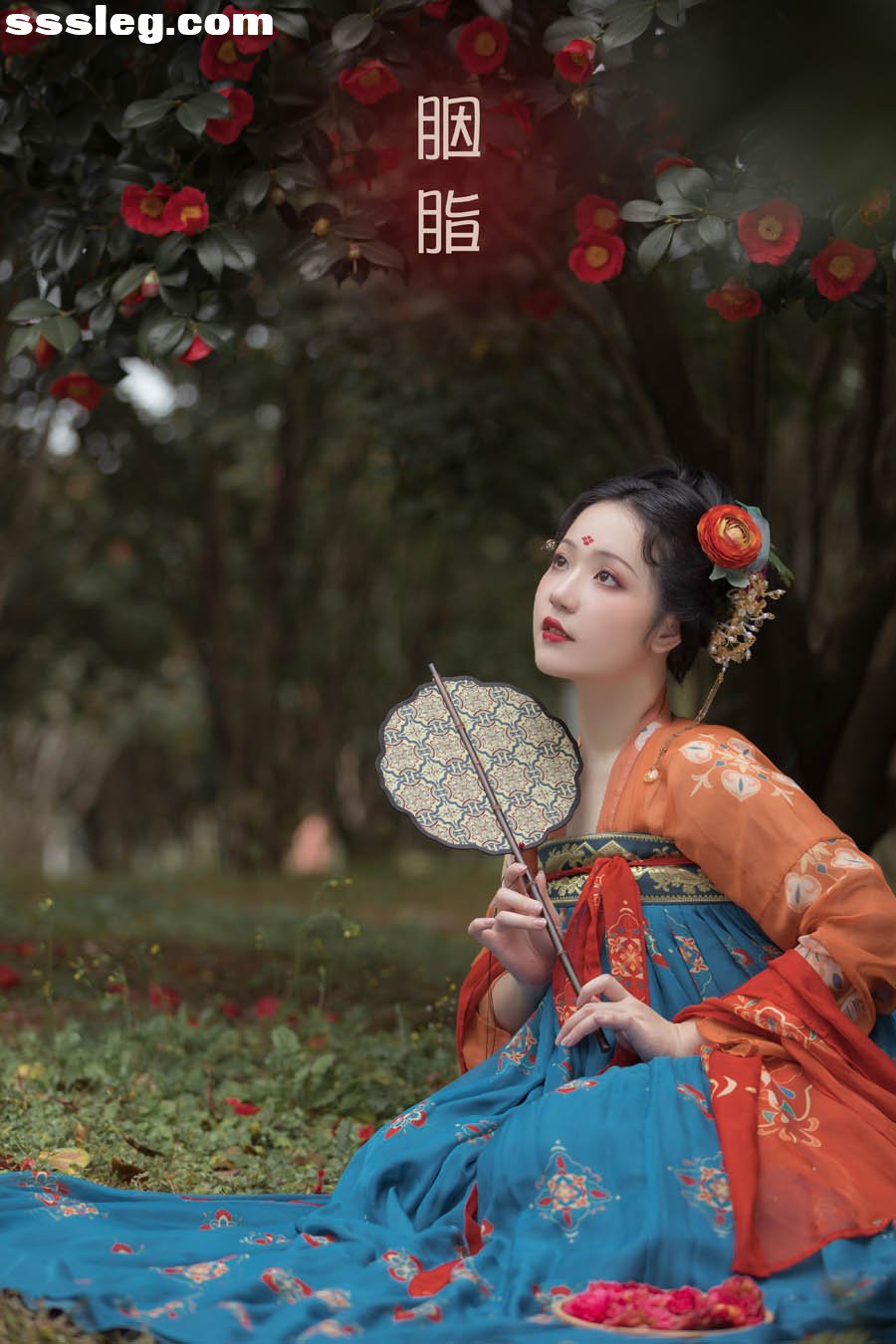 cover.jpg