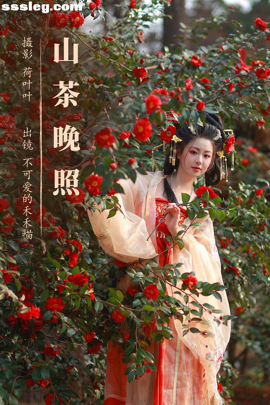cover.jpg