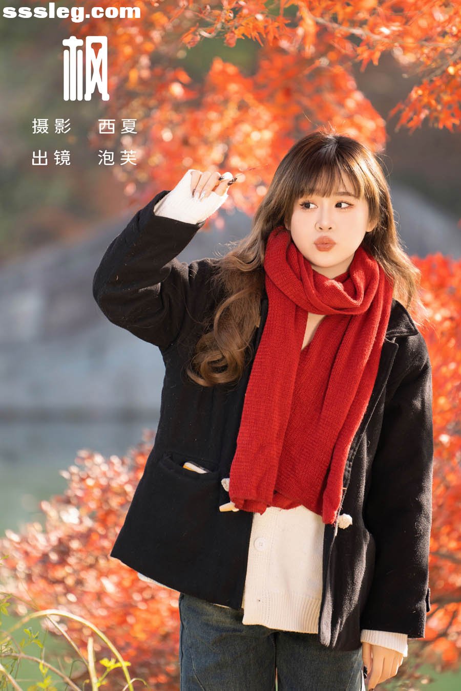 cover.jpg