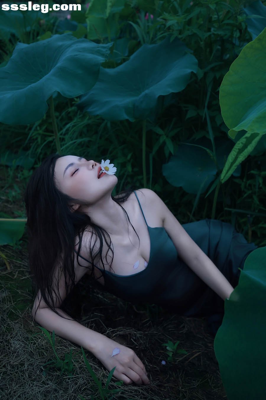 01.jpg