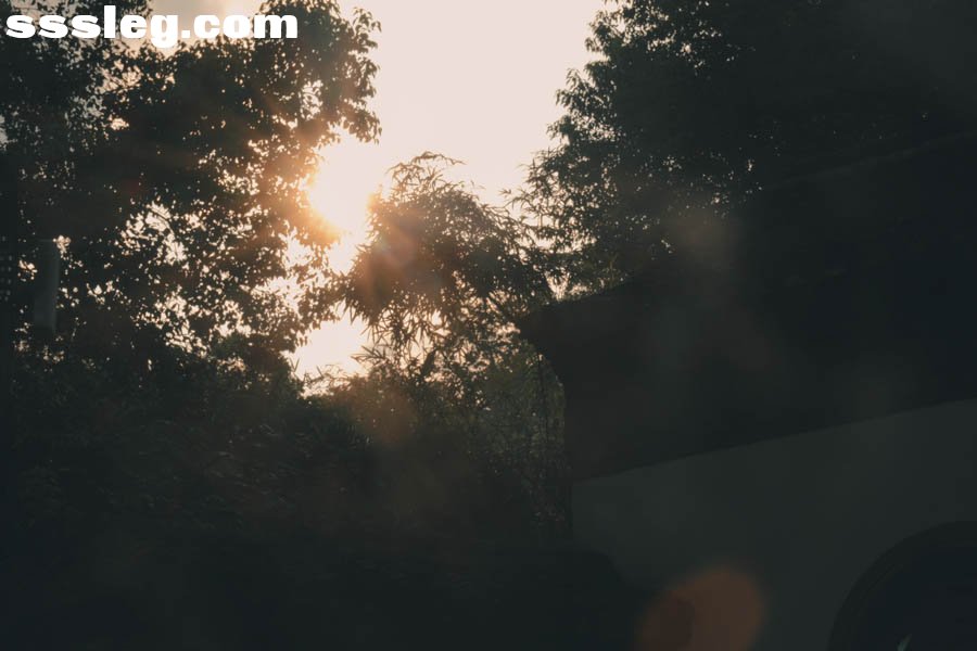 01.jpg