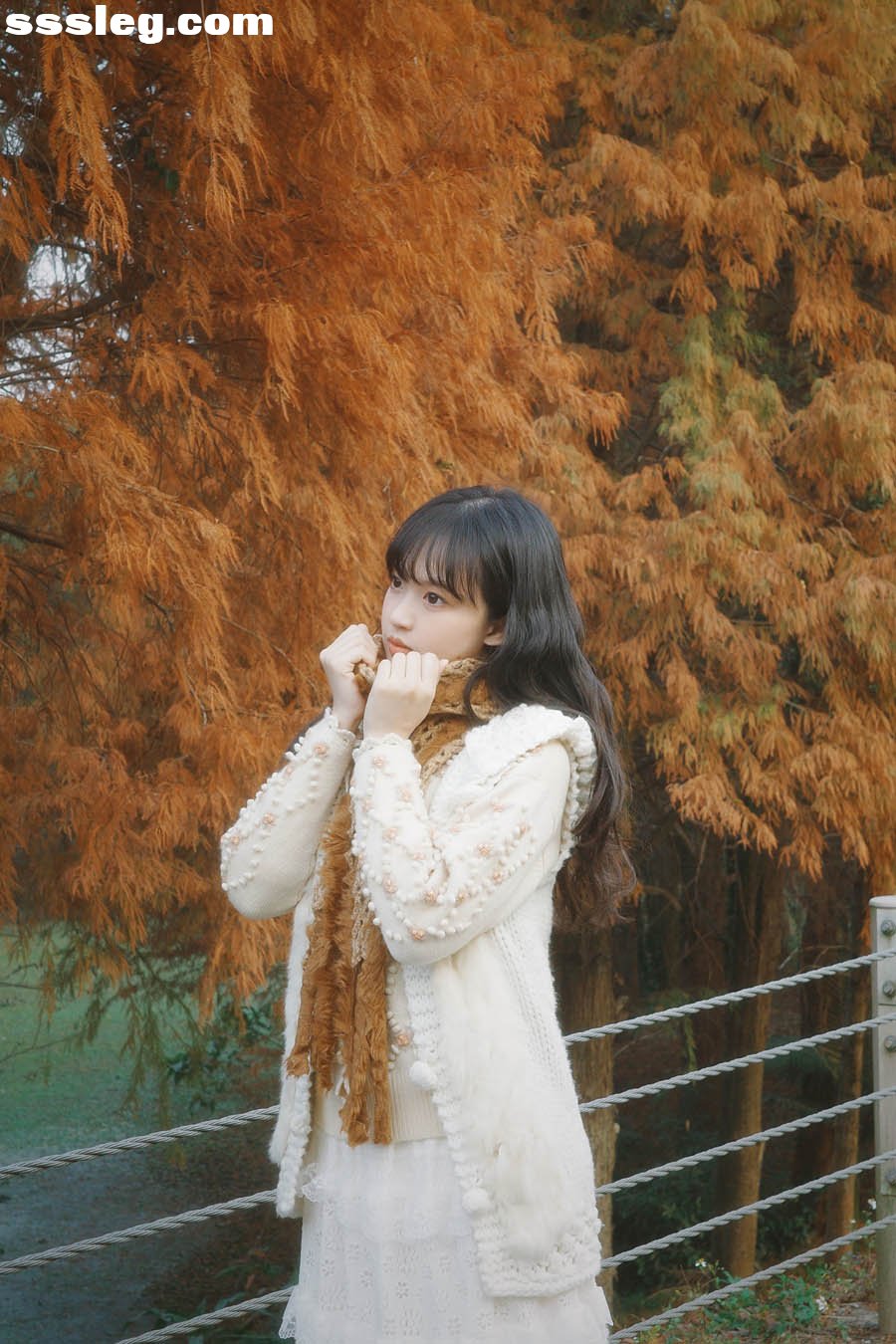 01.jpg