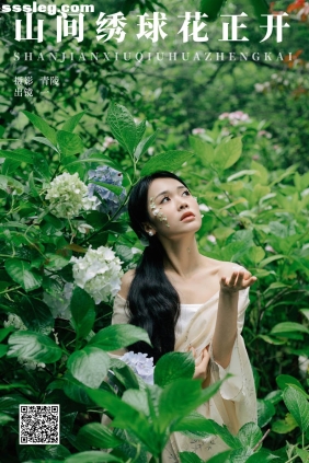 [YITUYU艺图语]2024.08.31 山间绣球花正开 一[26P337M]