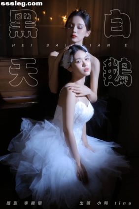 [YITUYU艺图语]2024.09.07 黑白天鹅 tina[27P303M]