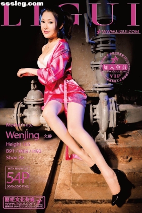[Ligui丽柜]2013.08.01 时尚写真 Model 文静