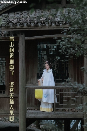 [YITUYU艺图语]2022.03.30 多少相思雁南飞 思佳[23P541M]