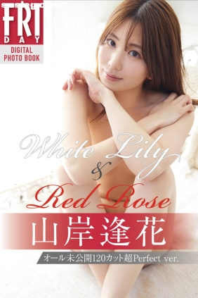 山岸逢花 White Lily & Red Rose[63P355M]