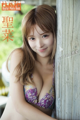 聖菜 ビーチの小悪魔[11P96M]