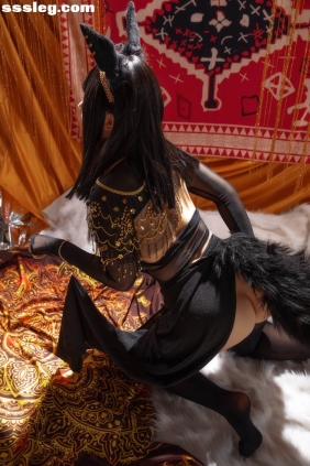 Hokunaimeko Anubis Cat[87P+2V868M]